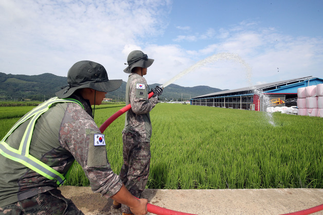 [르포] 군장병들 땡볕 급수작전…회색빛 논바닥 흙빛 되찾았다