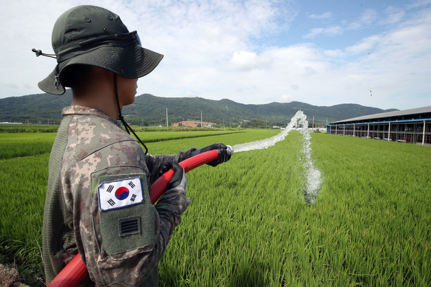 전남 농업용 저수율 39.6% '뚝'…가을 영농철 물 부족 비상