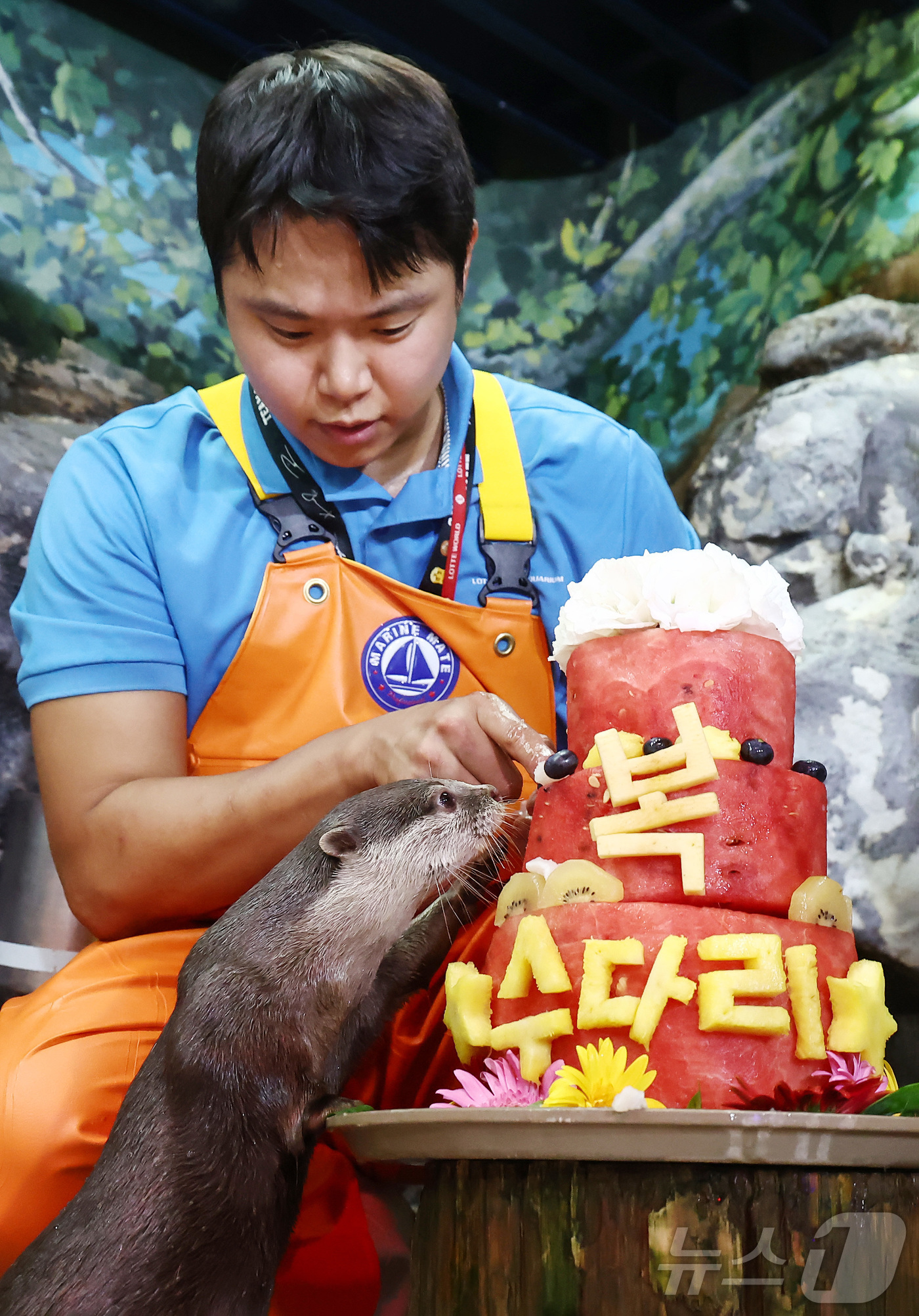 (서울=뉴스1) 김민지 기자 = 말복인 14일 서울 송파구 롯데월드 아쿠아리움에서 작은발톱수달이 복날을 맞아 꽁꽁 얼린 과일 특식을 먹고 있다. 2026.8.14/뉴스1
