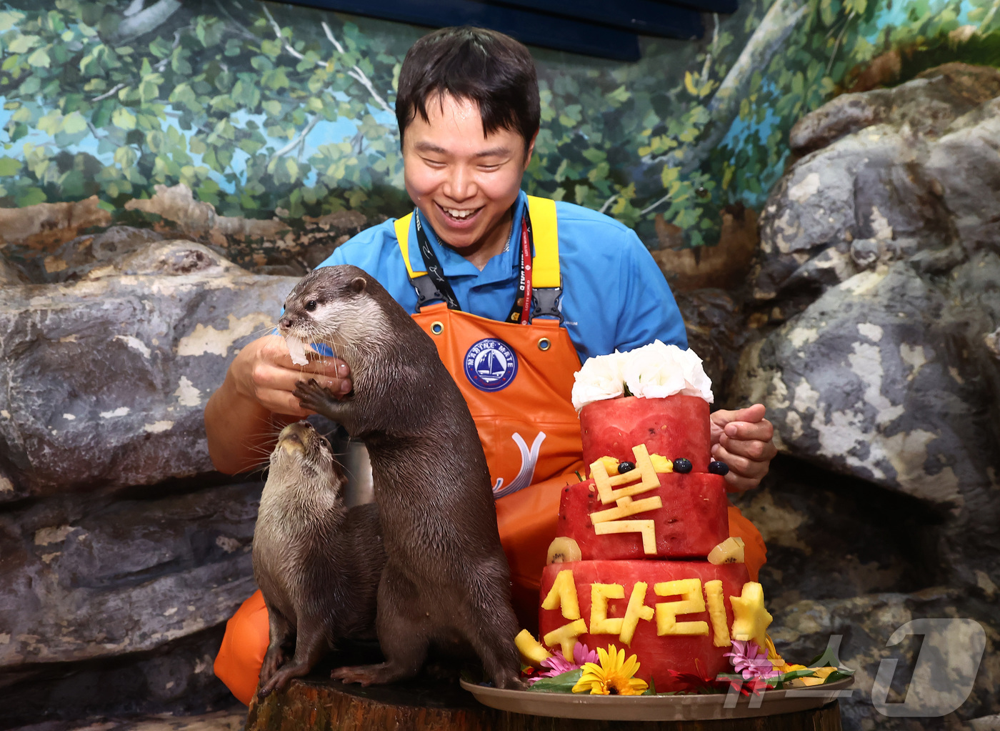 (서울=뉴스1) 김민지 기자 = 말복인 14일 서울 송파구 롯데월드 아쿠아리움에서 작은발톱수달이 복날을 맞아 꽁꽁 얼린 과일 특식을 먹고 있다. 2026.8.14/뉴스1