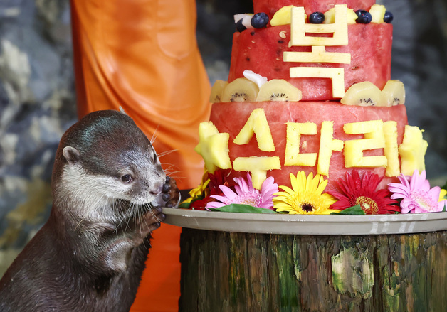내일 한낮 34도·체감 33도 '찜통더위'…오전 중부 비, 오후 곳곳 소나기