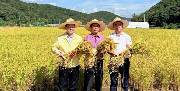 폭염·가뭄 이겨낸 농심…경북 성주서 올해 첫 벼 베기 결실