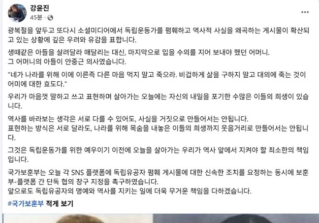 "독립운동가 웃음거리 만들면 안 돼"…보훈부, 희화화 게시물에 우려(종합)