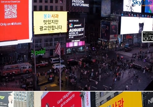 뉴욕에 봉화사과 광고 내보낸 군청 주무관…"자비로 33만원 쐈다"[영상]