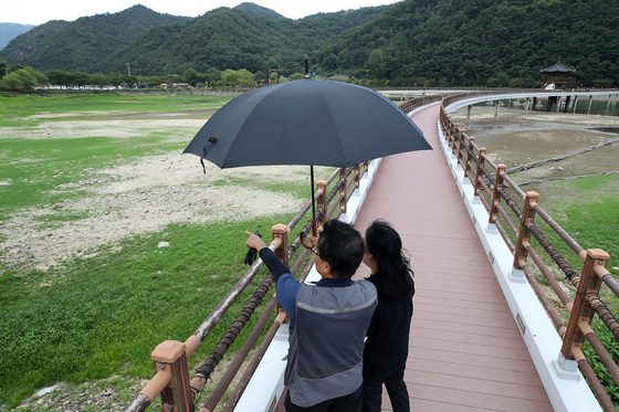 바싹 마른 송해공원 백세교 주변