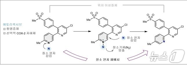 본문 이미지 - 연구진이 소염진통제 에토리콕시브에 새 기술을 적용한 과정. 새로운 질소 원자를 피리딘 고리에 넣은 뒤 기존 질소를 질소 기체(N₂)로 빼내 약물의 나머지 구조는 유지하면서 질소 위치만 다른 새로운 분자를 만들었다.(과기정통부 제공)