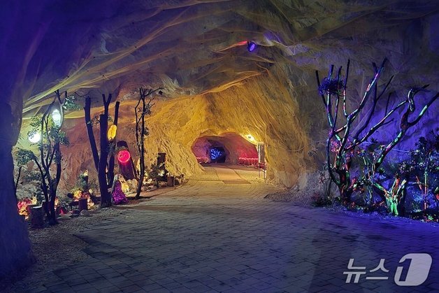 활옥동굴 앞에 마주 선 '원칙론'과 '정상화'…처리 결과 주목