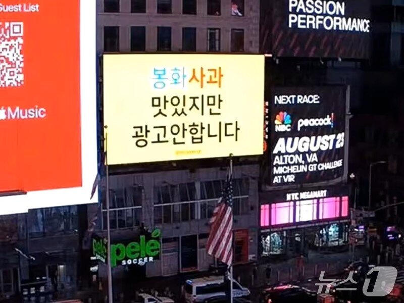 본문 이미지 - 뉴욕 타임스퀘어 한 전광판에 봉화군청의 홍보영상이 송출됐다(봉화군 제공. 재판매 및 DB 금지)2026.8.15/뉴스1