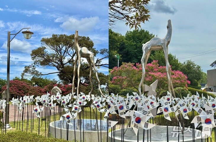 본문 이미지 - 부산 서구 동대신동 중앙공원에 설치된 태극 문양 바람개비. (부산시설공단 제공. 재판매 및 DB금지)