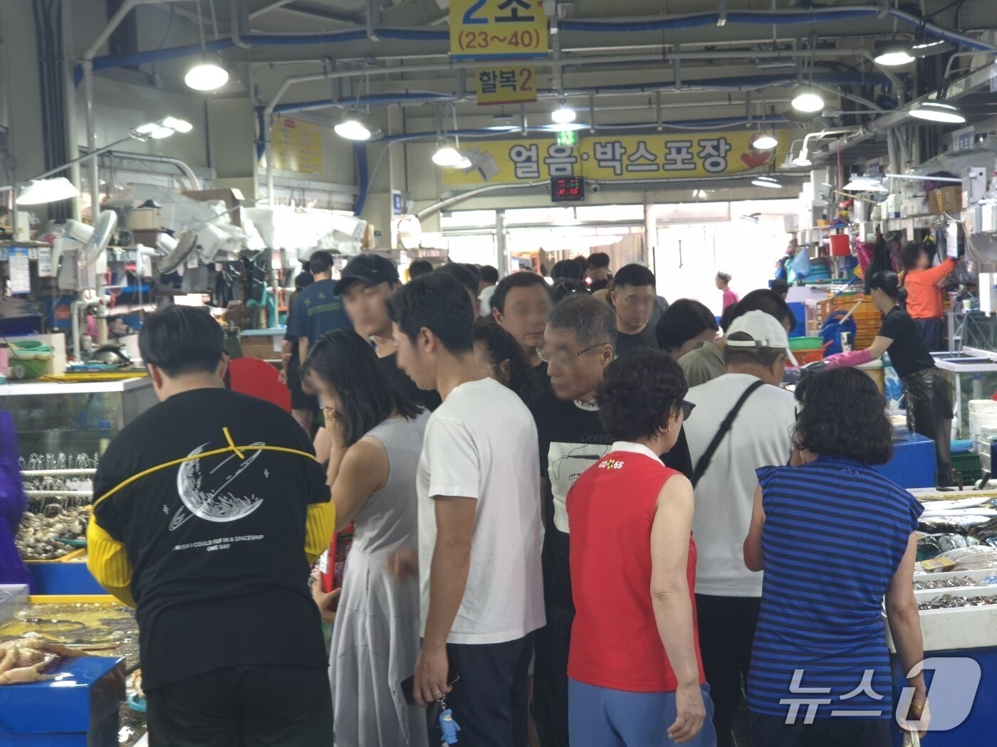 본문 이미지 - 15일 주문진항 수산시장.2026.8.15/뉴스1 윤왕근 기자