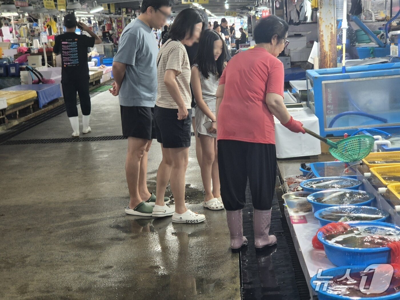본문 이미지 - 광복절 연휴인 15일 강원 동해안 최대 어항인 주문진항 어민수산시장을 방문한 가족 나들이객이 횟감을 고르고 있다. 2026.8.15/뉴스1 윤왕근 기자