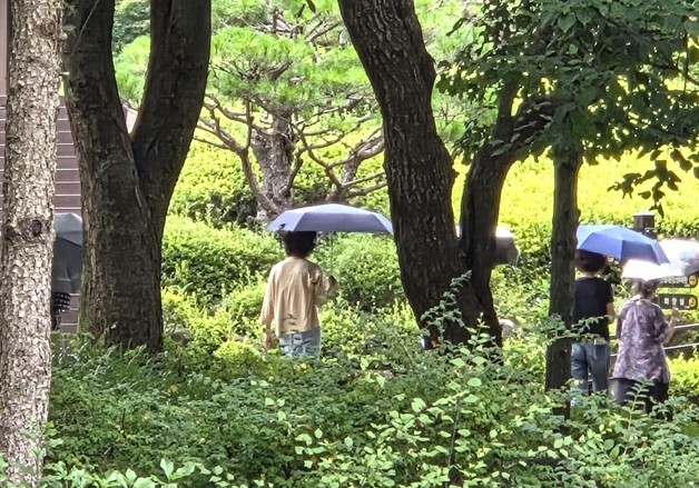 [오늘의 날씨] 세종·충북(17일, 월)…한때 소나기, 낮 최고 31도
