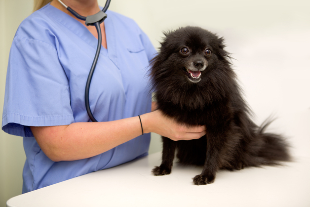 많이 본 뉴스