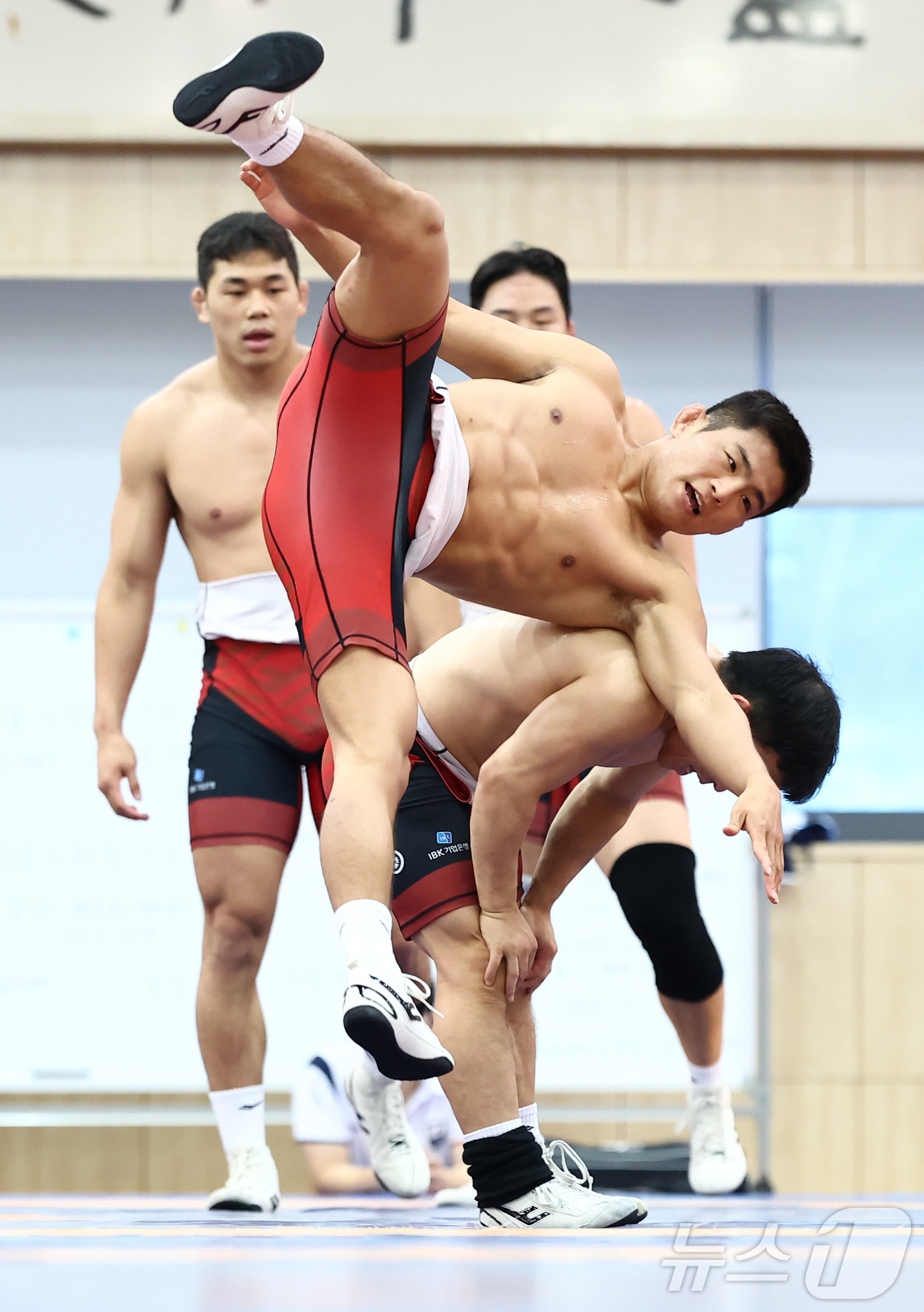 (진천=뉴스1) 김민지 기자 = 19일 오후 진천 국가대표선수촌에서 열린 대한민국 레슬링 국가대표 미디어데이 공개 훈련에서 윤준식 등 선수들이 구슬땀을 흘리고 있다. 2026.8. …
