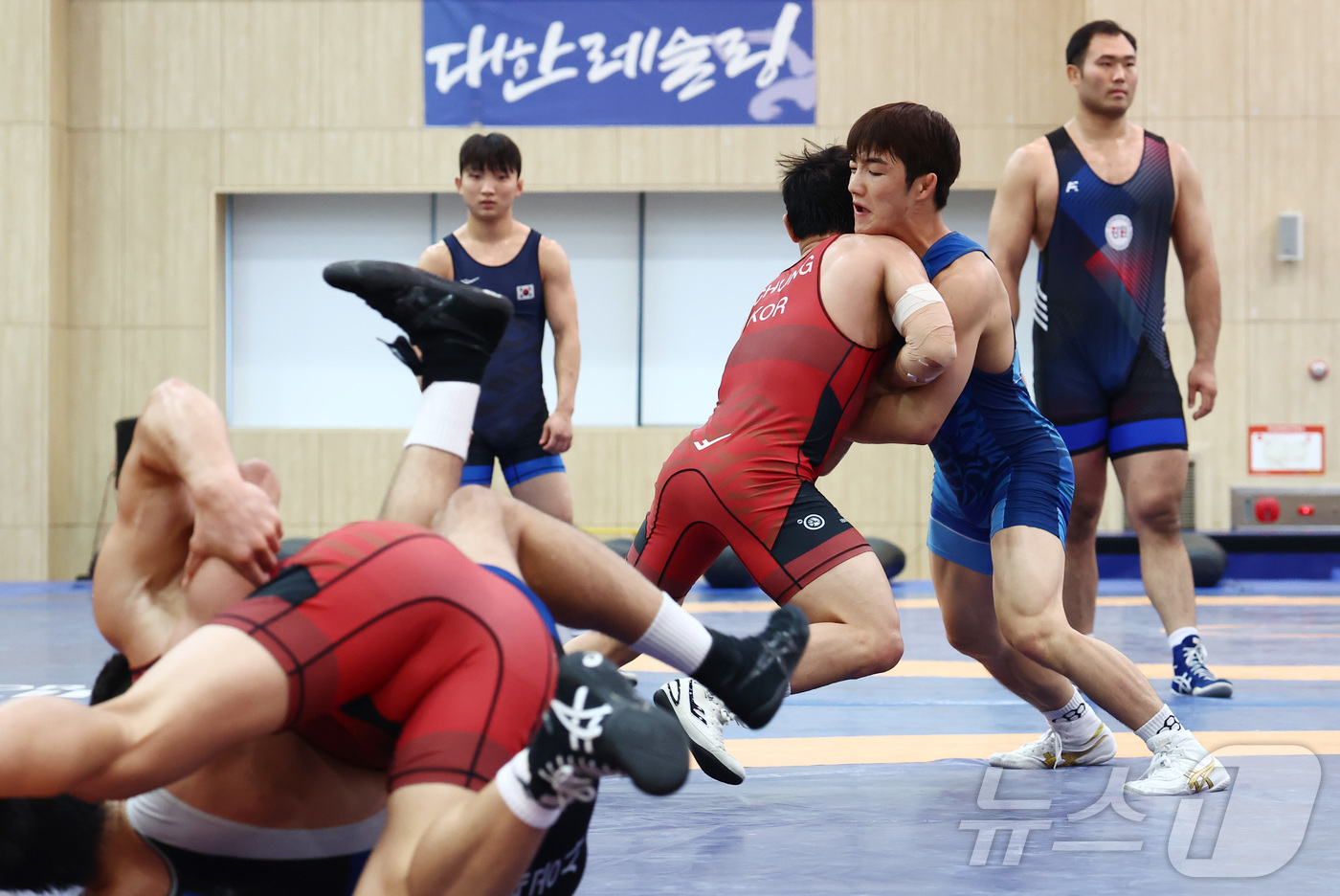 (진천=뉴스1) 김민지 기자 = 19일 오후 진천 국가대표선수촌에서 열린 대한민국 레슬링 국가대표 미디어데이 공개 훈련에서 선수들이 구슬땀을 흘리고 이다. 2026.8.19/뉴스1 …