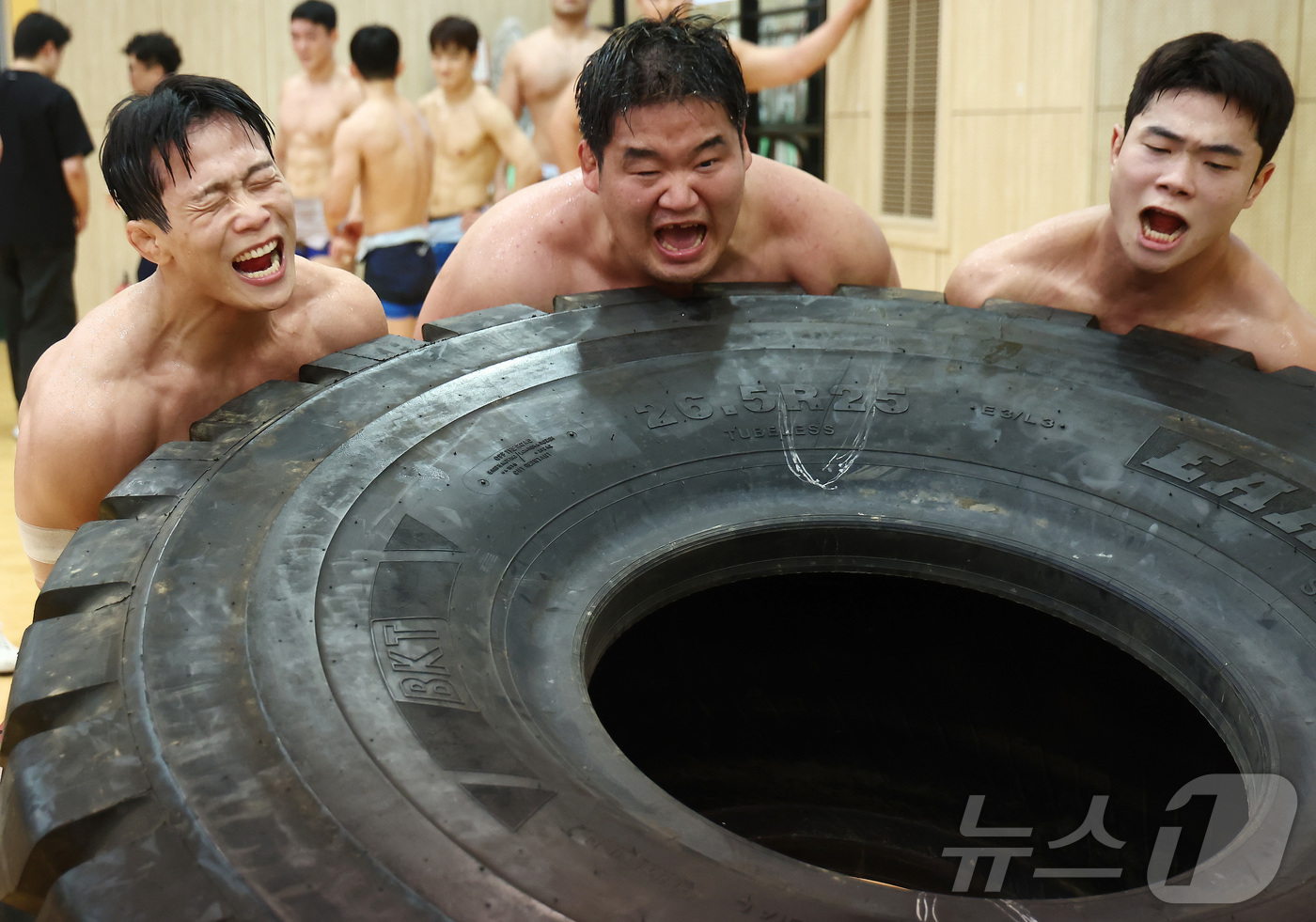 (진천=뉴스1) 김민지 기자 = 레슬링 국가대표 정한재 등 선수들이 19일 오후 진천 국가대표선수촌에서 열린 대한민국 레슬링 국가대표 미디어데이 공개 훈련에서 초대형 타이어를 넘기 …