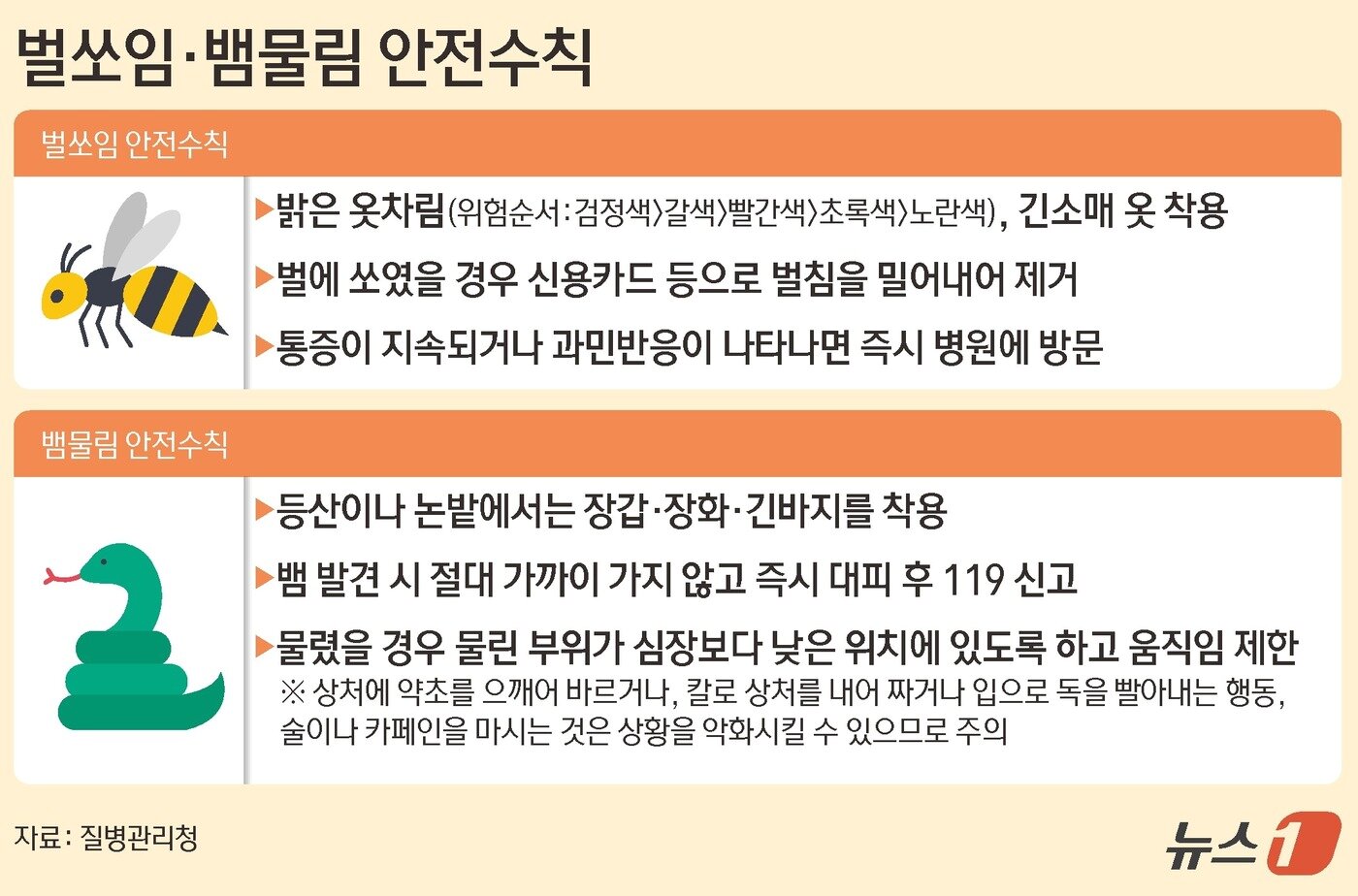 본문 이미지 - ⓒ 뉴스1 김초희 디자이너