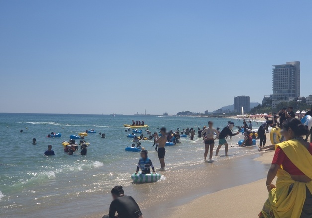 바다 뛰어들고 닭강정 먹고…300만명 찾은 강원 '인산인해'