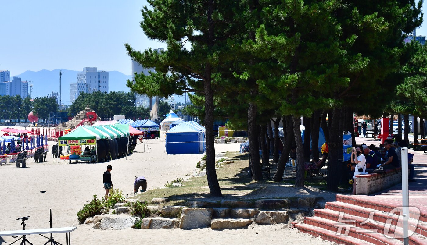 본문 이미지 - 2일 경북 포항시 북구 영일대해수욕장을 찾은 피서객들이 해송 그늘 아래에서 쉬고 있다.  2026.8.2 ⓒ 뉴스1 최창호 기자