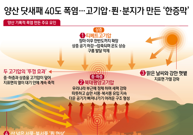 [오늘의 그래픽] 양산 닷새째 40도 폭염…고기압·푄·분지가 만든 '한증막'