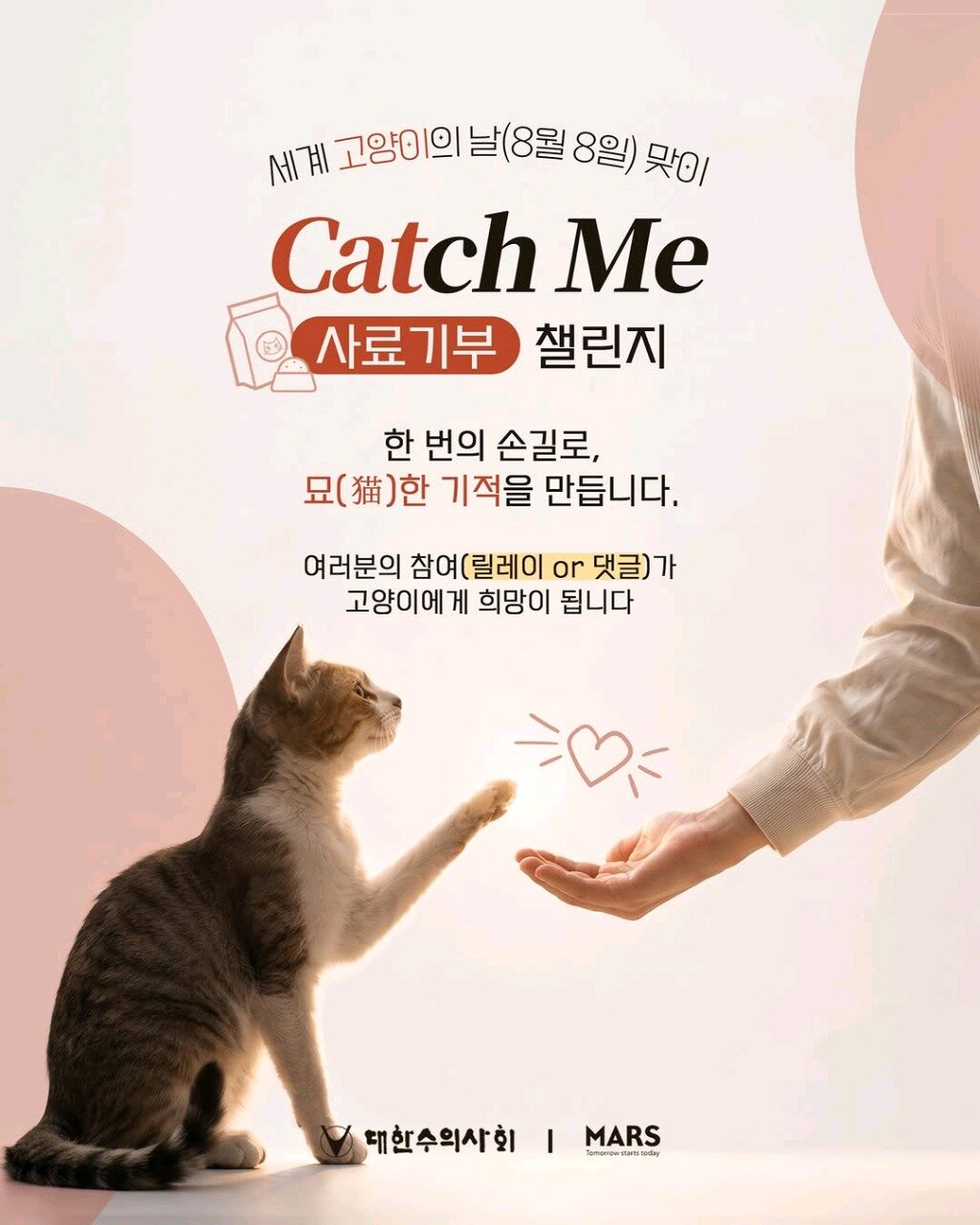 본문 이미지 - 캣치미 챌린지 안내문(대한수의사회 제공) ⓒ 뉴스1