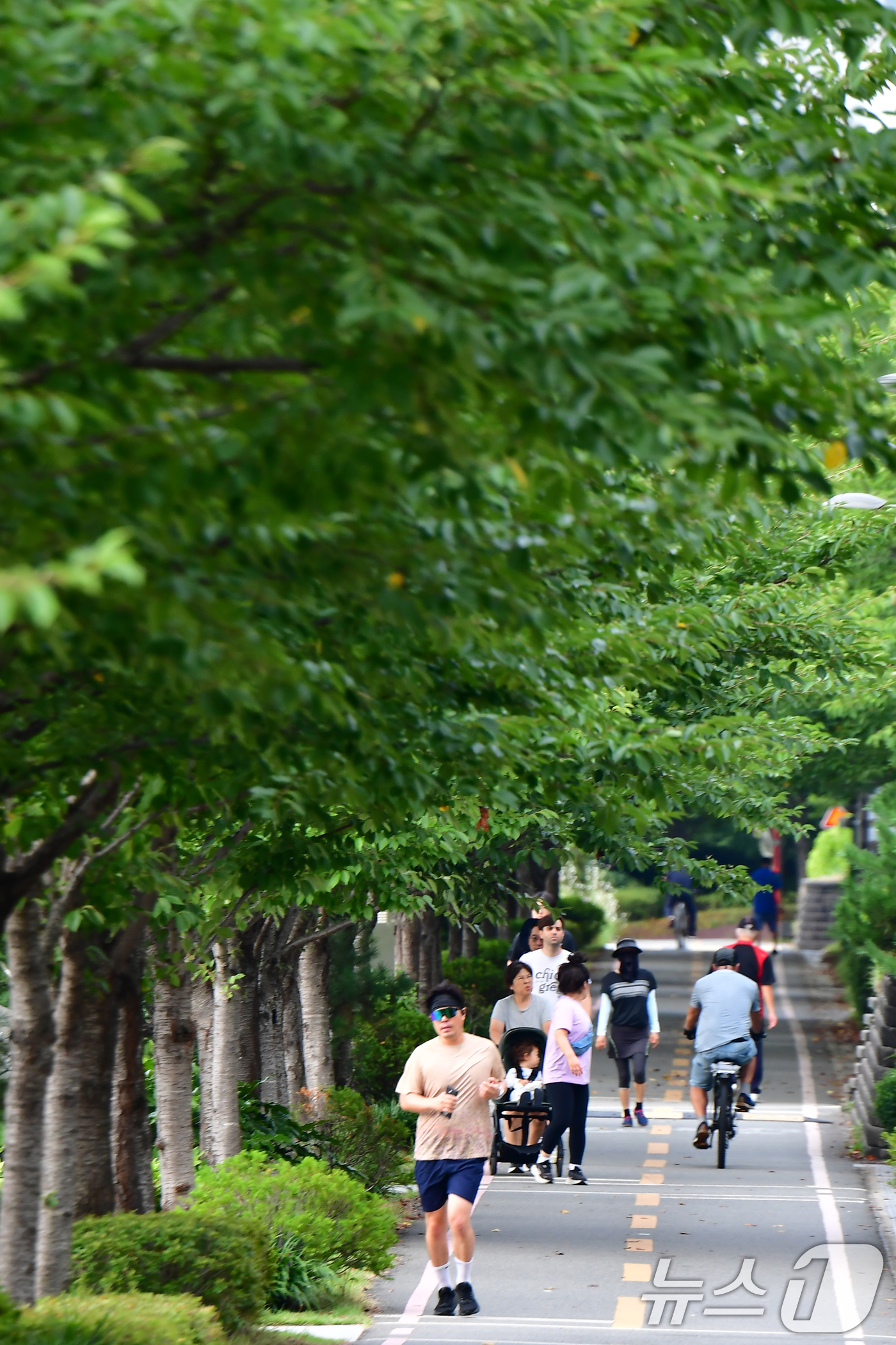 (포항=뉴스1) 최창호 기자 = 20일 오전 경북 포항시 남구 대잠동 철길 숲에서 아침 운동을 나온 시민들이 나무 그늘 아래로 걸어가고 있다. 2026.8.20/뉴스1
