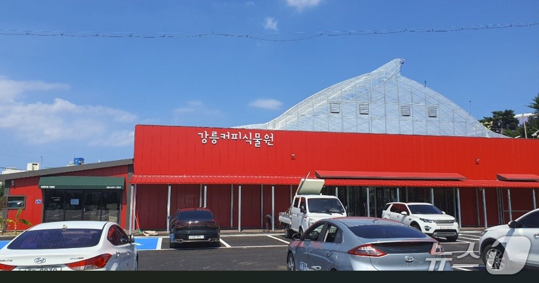 본문 이미지 - 강릉 커피식물원 전경.(강릉시 제공, 재판매 및 DB 금지) 2026.8.20/뉴스1