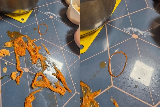 "냅킨·고무줄, 먹던 뼈까지 넣은 듯…쓰레기 해장국을 포장해 줬어요" 분노