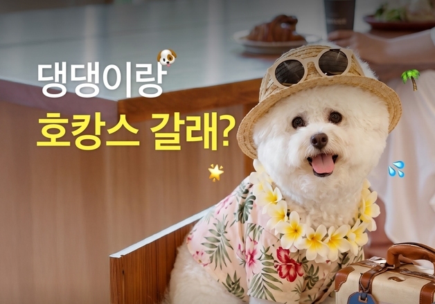 "반려견과 호캉스 떠나요"…네츄럴코어, '세계 개의 날' 이벤트