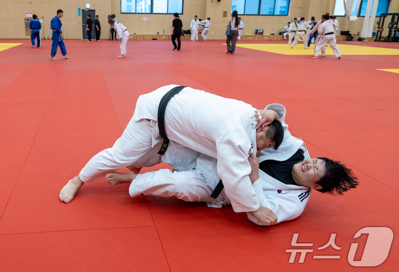 (진천=뉴스1) 안은나 기자 = 유도 국가대표 이현지가 20일 충북 진천선수촌에서 열린 2026 아이치·나고야 하계아시아경기대회 D-30 미디어데이에서 공개훈련을 하고 있다. 20 …