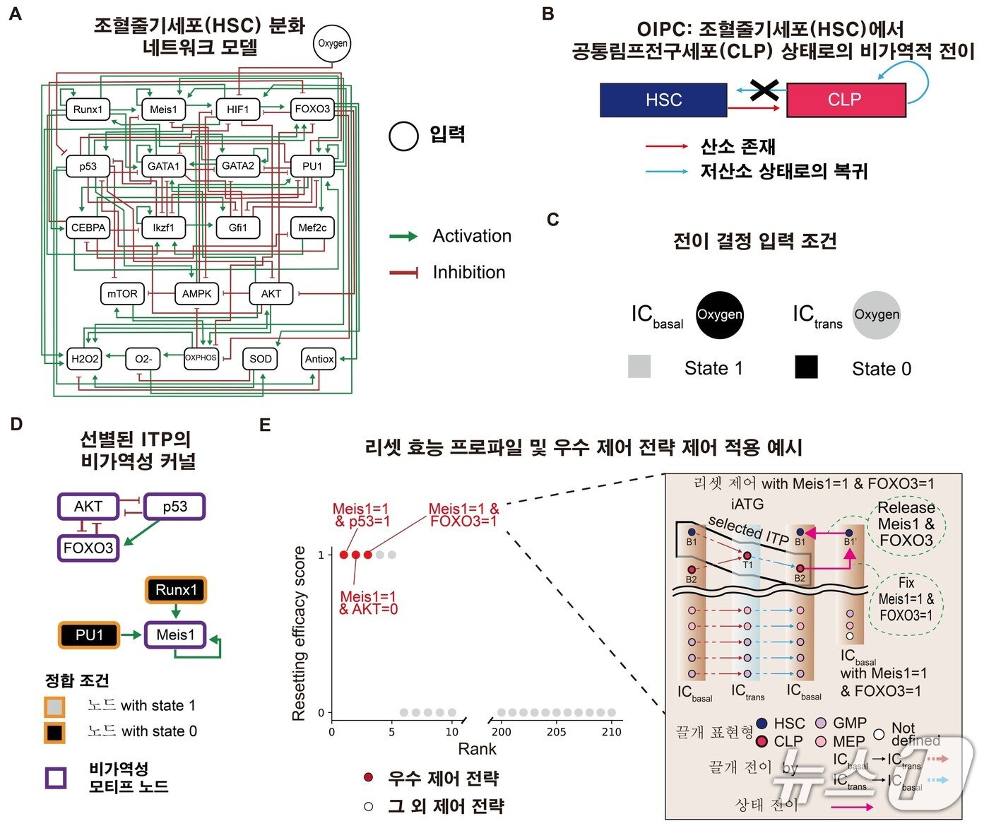 본문 이미지 - 루트 기술을 이용한 비가역성 커널 규명 및 제어기술 개발 과정. (KAIST 제공. 재판매 및 DB금지) 2026.8.21/뉴스1