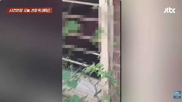 "내 집인데 무슨 상관?"…출근길 동네 울려 퍼진 1층 집 '신음 소리' 민망
