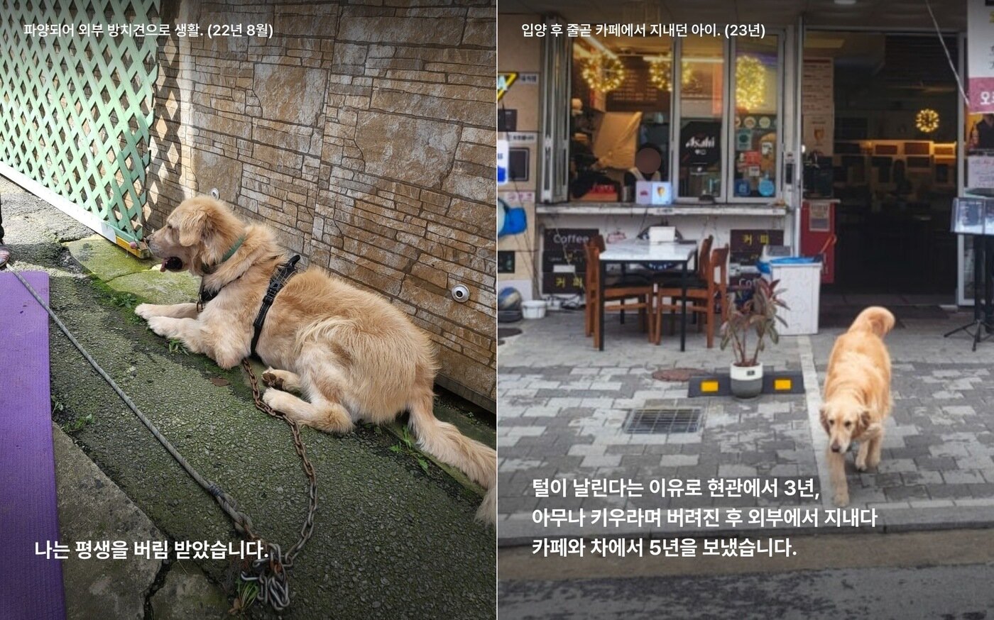 본문 이미지 - 집 안에서 살아본 적이 없는 과거 영웅이 모습(위액트 인스타그램 갈무리) ⓒ 뉴스1