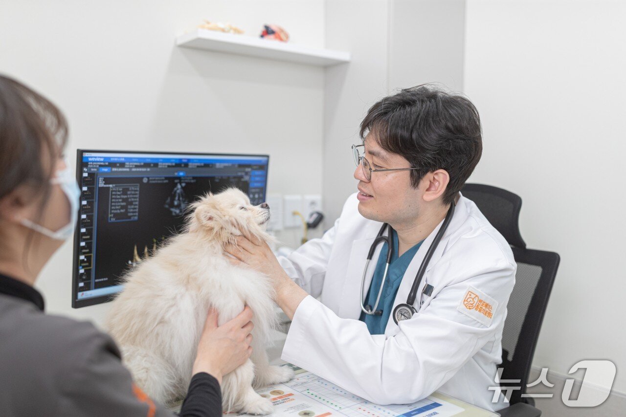 본문 이미지 - 권재연 원장이 동물병원에 내원한 반려견 진료를 하고 있다. 해당 기사와는 무관한 사진(반포베이스동물의료센터 제공) ⓒ 뉴스1