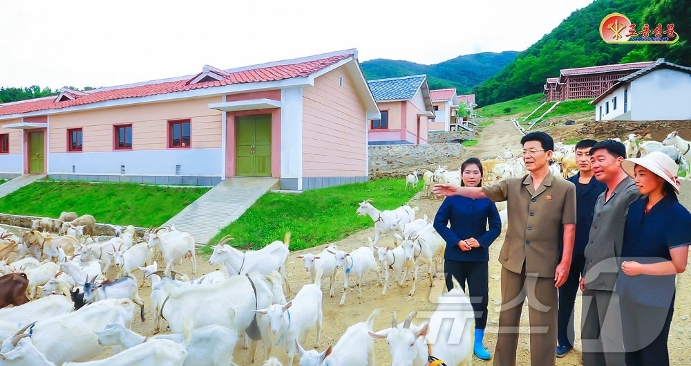 (평양 노동신문=뉴스1) = 북한 노동당 기관지 노동신문은 23일 "젖제품(유제품) 생산토대를 강화하기 위한 사업에 힘을 넣고 있다"며 숙천군을 조명했다. [국내에서만 사용가능. …