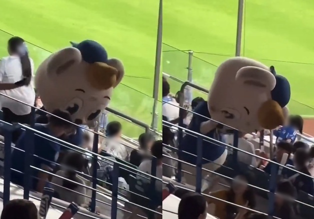 삼성 마스코트 라온이 머리 '퍽' 밀친 관중…비난 쏟아지자 아버지가 한 말