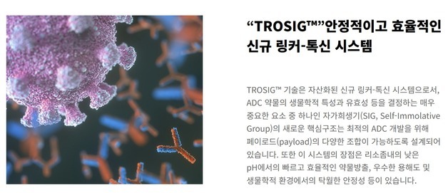 "정상세포 피해 암만 공격"…ADC 후발주자들, 차별화 승부수