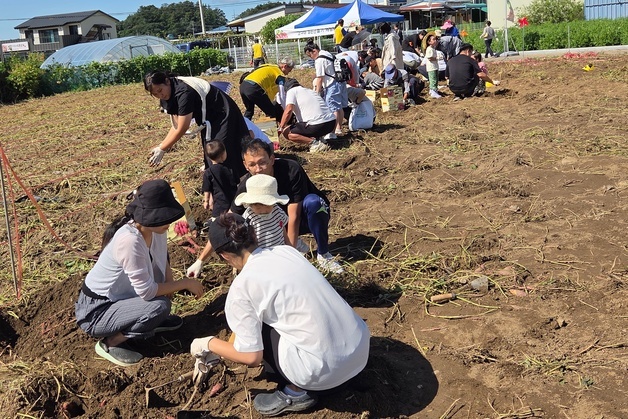 고구마 캐고 군고구마 맛보고…충주 천등산서 가을 체험 축제