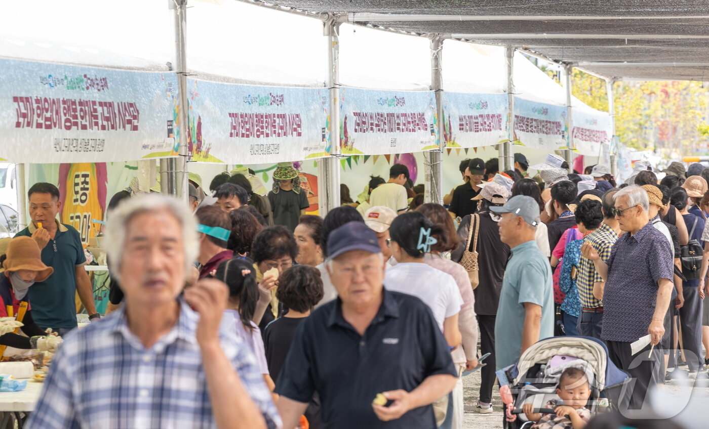 본문 이미지 - 22일부터 이틀간 전북 익산시 삼기농협에서 개최되는 '익산 고구마(순) 축제'에 관광객들이 북적이고 있다. ⓒ 뉴스1 장수인 기자