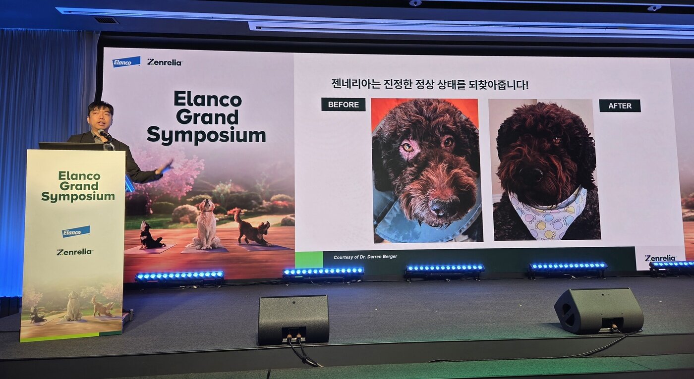본문 이미지 - 박성철 한국엘랑코동물약품 수의사가 젠네리아 적용 사례를 소개하고 있다. ⓒ 뉴스1 한송아 기자