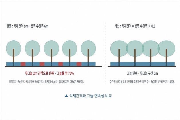 경북연구원 “폭염 피해 줄이려면 도심 가로수 공간 재설계해야”