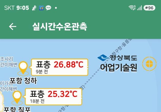 포항 고수온 폐사 물고기 232만마리·피해액 16억으로 늘어