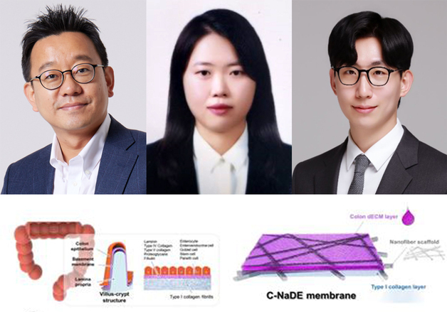 포스텍 연구팀,  장조직과 똑같은 세포 배양막 개발 성공
