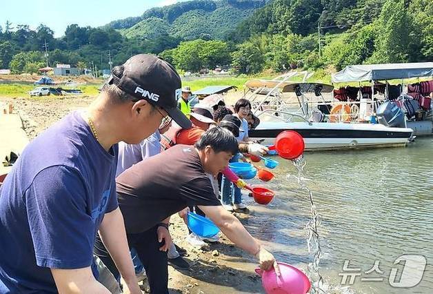 옥천군, 금강·대청호에 토종붕어 90만마리 방류