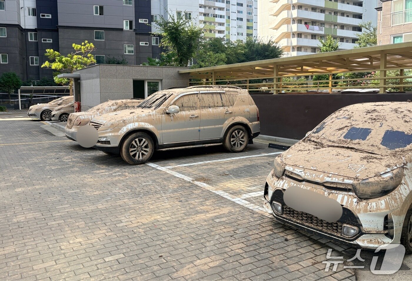 본문 이미지 - 통영 미수동의 한 아파트 주차장에 주차된 침수 차량들.2026.08.24/뉴스1 강미영기자