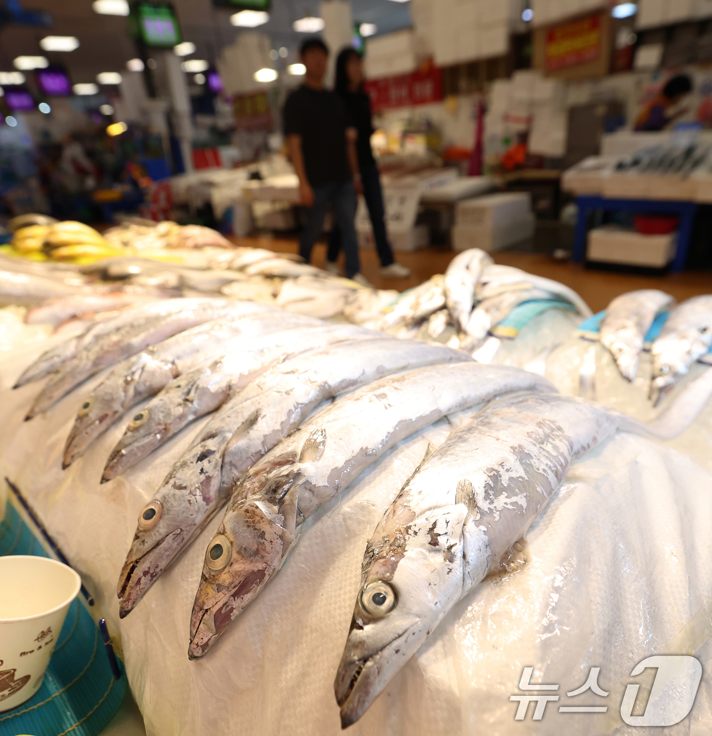 (서울=뉴스1) 오대일 기자 = 24일 오후 서울 동작구 노량진수산시장에 갈치 등 수산물이 진열돼 있다. 해양수산부는 추석을 앞두고 수산물 시장 가격 안정을 위해 8월 24일부터 …