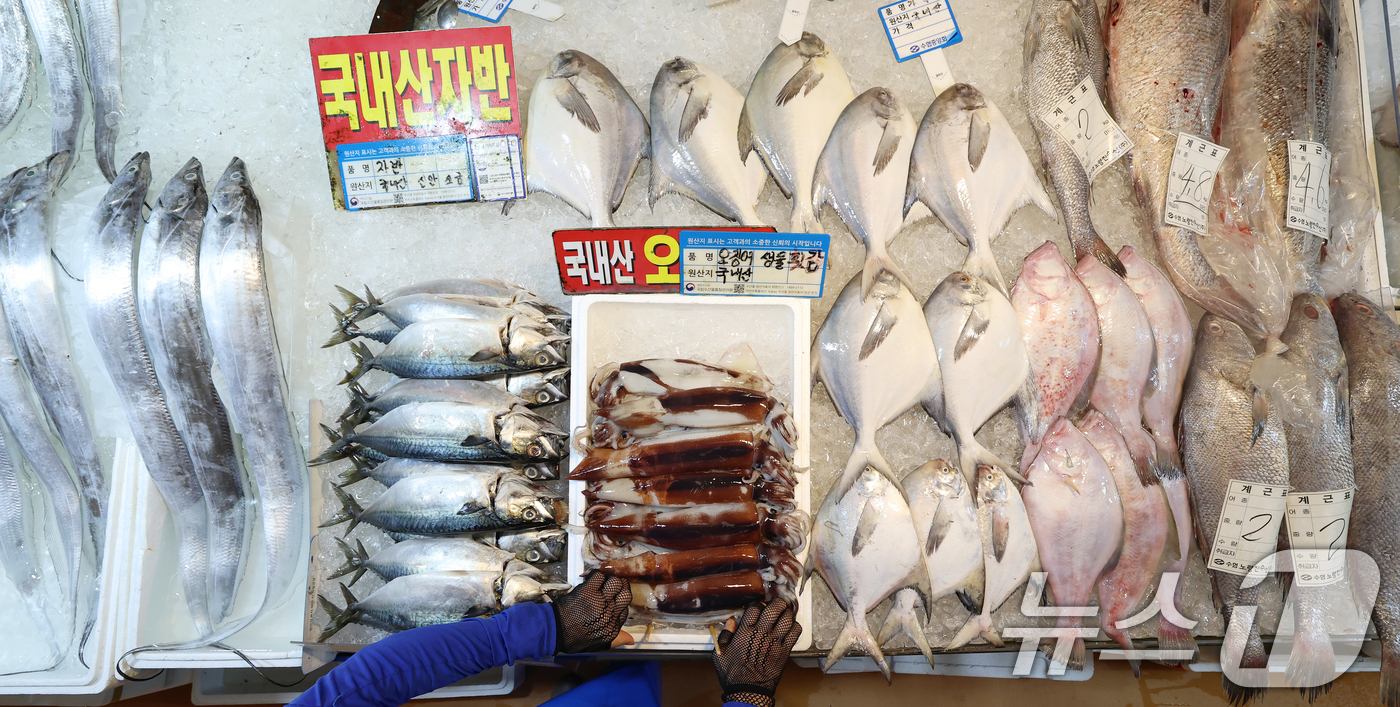 (서울=뉴스1) 오대일 기자 = 24일 오후 서울 동작구 노량진수산시장에 오징어, 고등어 등 수산물이 진열돼 있다. 해양수산부는 추석을 앞두고 수산물 시장 가격 안정을 위해 8월 …