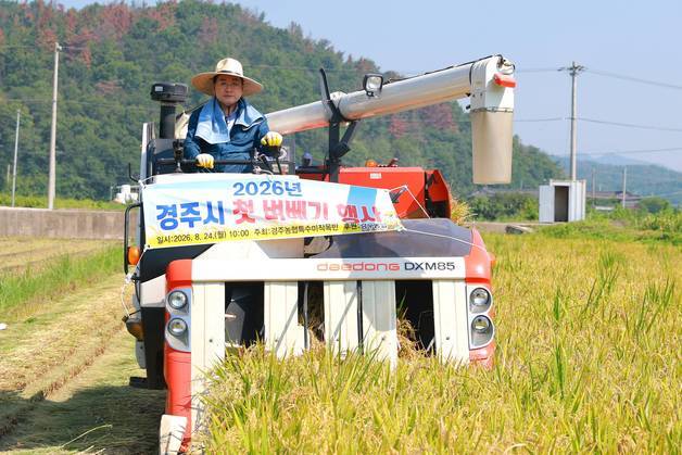 경주시 '해담벼' 첫 수확…올해 지역 벼 생산 500톤 예상
