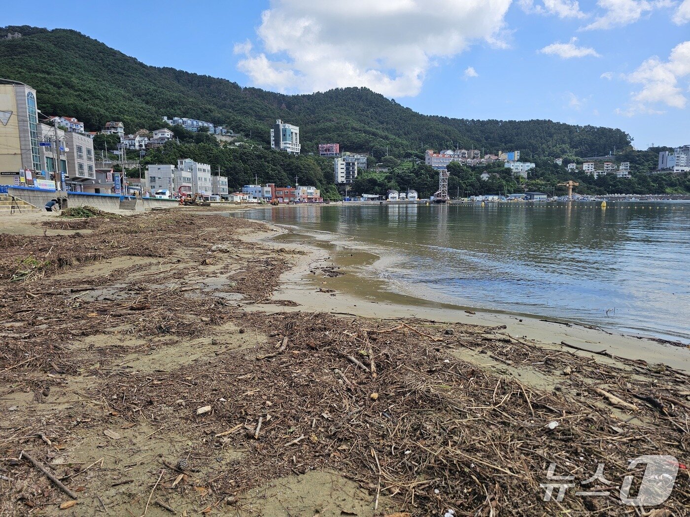 본문 이미지 - 덕포해수욕장 모래사장이 폭우에 떠밀려온 잡초로 아수라장이 돼 있다. 2026.8.19 ⓒ 뉴스1 박민석 기자