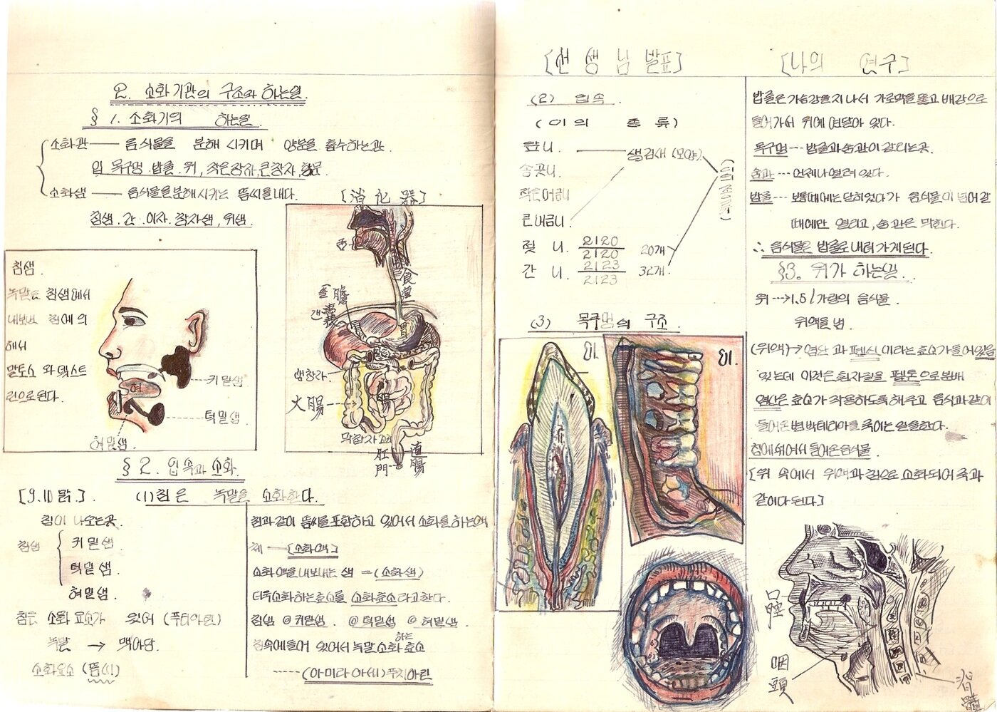 본문 이미지 - (광주 서중학교2학년)_1956 과학노트 (우제길미술관 제공)